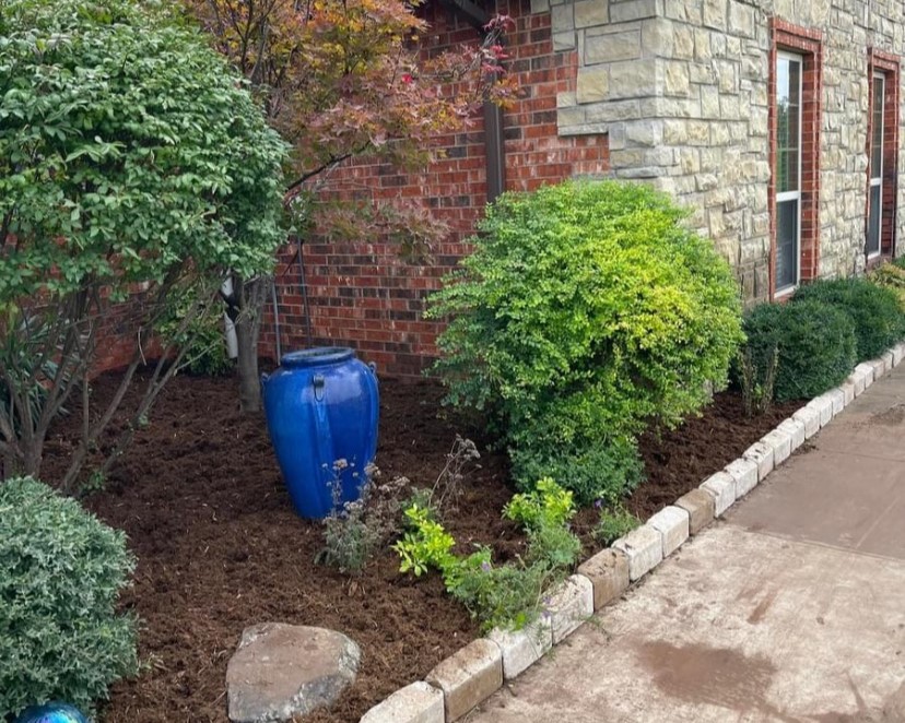 beautiful garden bed