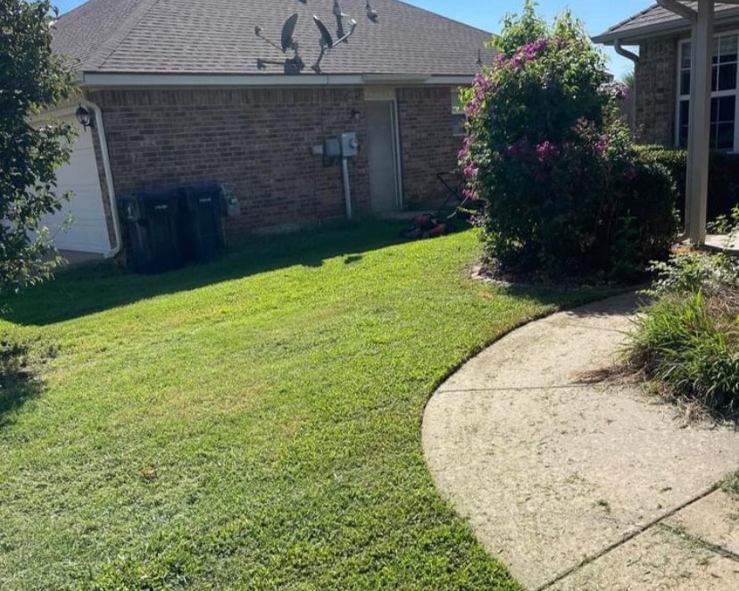 freshly mowed lawn